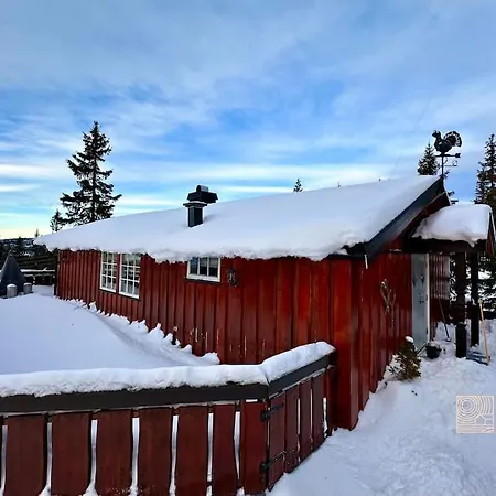 Ferienhaus Cozy And Comfortable In The Center Of With A Large Terrace *