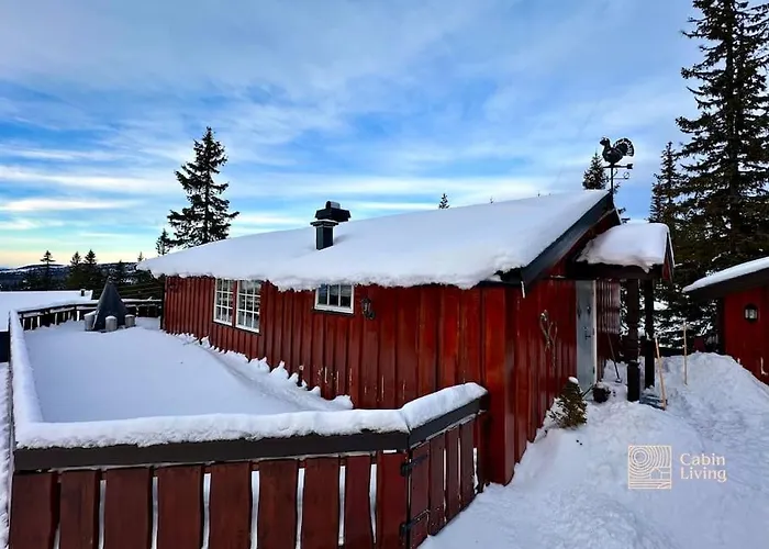 Ferienhaus Cozy And Comfortable In The Center Of With A Large Terrace *